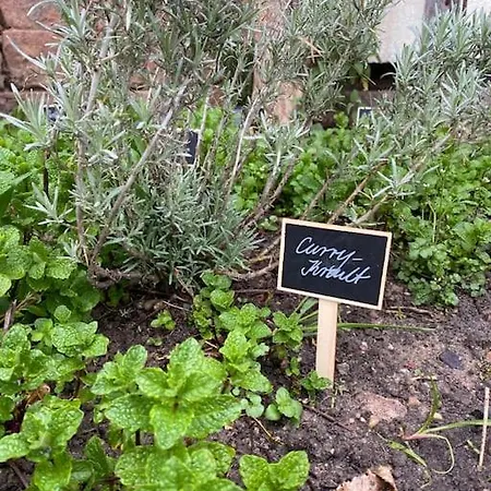 Apartment Schockelgaul - Parterre Forst an der Weinstrasse